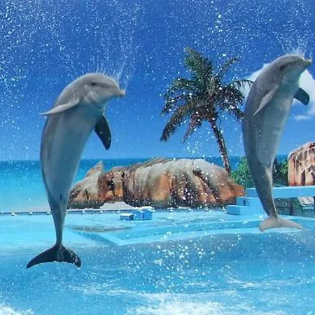 דירה Charming 2-bed In Olhos De Agua אלבופיירה